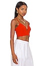 view 2 of 4 String Bralette Top in Sunset