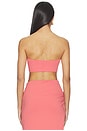 view 3 of 4 Micro Tube Top in Rosa