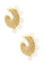 view 1 of 4 Solito Pearled Earrings in Gold