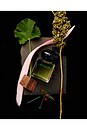 view 3 of 4 Sour Diesel Eau De Parfum in 