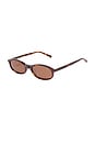 view 2 of 2 GAFAS DE SOL GINI in Tortoise