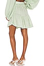 view 3 of 4 Belted Mini Skirt in Spark