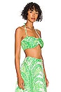 view 2 of 4 Sweetheart Halter Crop in Planta