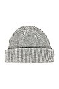 view 2 of 2 Salty Dog Beanie in Light Grey Heather