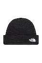 view 1 of 2 Salty Dog Beanie in TNF Black