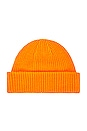 view 2 of 2 Salty Dog Beanie in Cone Orange & Ponderosa Green Medium Icon Plaid 2
