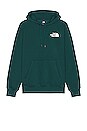 view 2 of 3 Box NSE Pullover Hoodie in Ponderosa Green & TNF Black