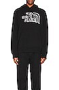 view 3 of 3 Printed Heavyweight Pullover Hoodie in TNF Black