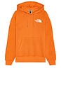 view 2 of 3 Box NSE Pullover Hoodie in Iron Bronze