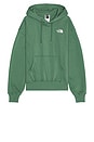 view 1 of 4 Evolution Vintage Hoodie in Duck Green