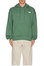 view 4 of 4 Evolution Vintage Hoodie in Duck Green