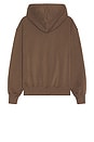 view 2 of 4 Evolution Vintage Hoodie in Smokey Brown