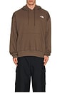 view 4 of 4 Evolution Vintage Hoodie in Smokey Brown