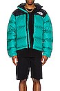 view 5 of 5 1996 Retro Nuptse Jacket in Porcelain Green