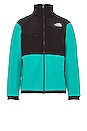 view 1 of 4 Denali 2 Jacket in Porcelain Green
