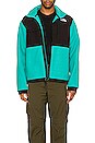 view 3 of 4 Denali 2 Jacket in Porcelain Green