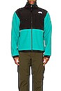 view 4 of 4 Denali 2 Jacket in Porcelain Green