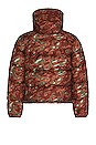 view 2 of 4 BLOUSON SIERRA in Dark Oak Glacier Camo Print