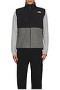 view 3 of 3 Retro Denali Vest in TNF Medium Grey Heather