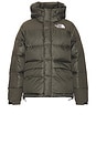 view 1 of 5 Hmlyn Down Parka Jacket in New Taupe Green