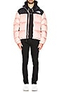 view 5 of 5 1996 Retro Nuptse Jacket in Misty Rose