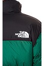 view 7 of 7 CHAQUETA 1996 RETRO NUPTSE in Evergreen