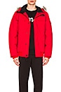 view 2 of 7 Gotham Jacket III With Faux Fur Trim in TNF Red