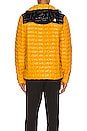 view 4 of 7 SUDADERA THERMOBALL ECO in Summit Gold & TNF Black