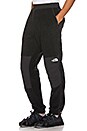 view 1 of 5 PANTALON 95 RETRO DENALI in TNF Black