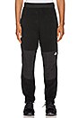 view 2 of 5 PANTALON 95 RETRO DENALI in TNF Black