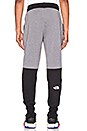 view 4 of 5 PANTALON NSE GRAPHIC in TNF Medium Grey Heather
