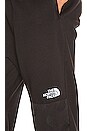 view 7 of 7 PANTALON MOLLETON in TNF Black