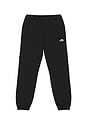 view 4 of 6 Evolution Simple Dome Pant in TNF Black