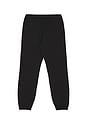 view 5 of 6 Evolution Simple Dome Pant in TNF Black