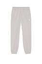 view 6 of 6 Men's Evolution Simple Dome Regular Pant in TNF Pale Grey Heather