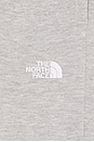 view 7 of 6 Men's Evolution Simple Dome Regular Pant in TNF Pale Grey Heather