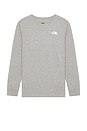 view 2 of 3 Long Sleeve Box NSE Tee in TNF Pale Grey Heather