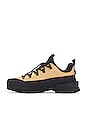 view 5 of 6 Glenclyffe Low Sneaker in Almond Butter
