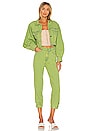 view 4 of 4 Caliz Denim Jacket in Green