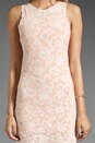 view 3 of 6 Horizon Lace Dress in Pastel Peach