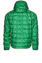 view 2 of 4 Haelo Hoodie in Turf