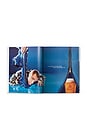 view 3 of 8 LIVROS ALL-AMERICAN ADS OF THE 90S in 