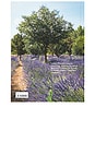 view 6 of 6 Living in Provence. 45th Edition in 