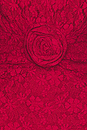view 5 of 4 Herta Dress in Scooter Red