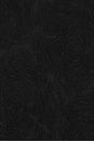 view 4 of 4 Flower Mesh Maxi Dress in Black