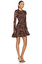 view 2 of 4 Rositana Dress in Chicory Coffee