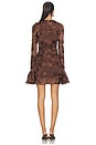 view 3 of 4 Rositana Dress in Chicory Coffee