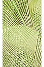 view 4 of 4 Logan Dress in Lime