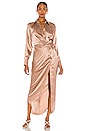 view 5 of 5 Maxi Shirt Dress in Rose Beige