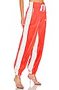 view 2 of 4 Washed Nylon Pants in Bright Orange